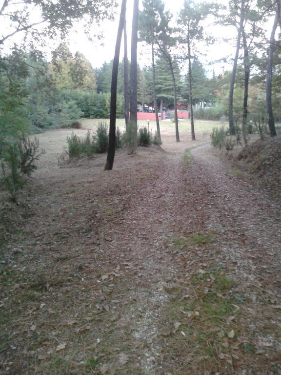 Park View Country House B&B Capannori Buitenkant foto