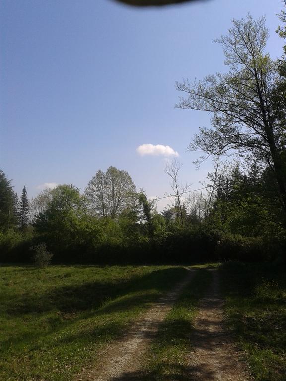 Park View Country House B&B Capannori Buitenkant foto