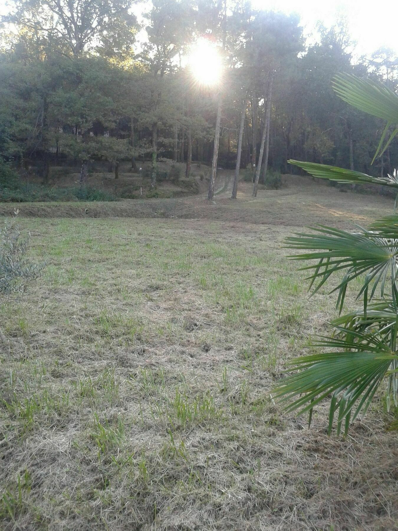 Park View Country House B&B Capannori Buitenkant foto