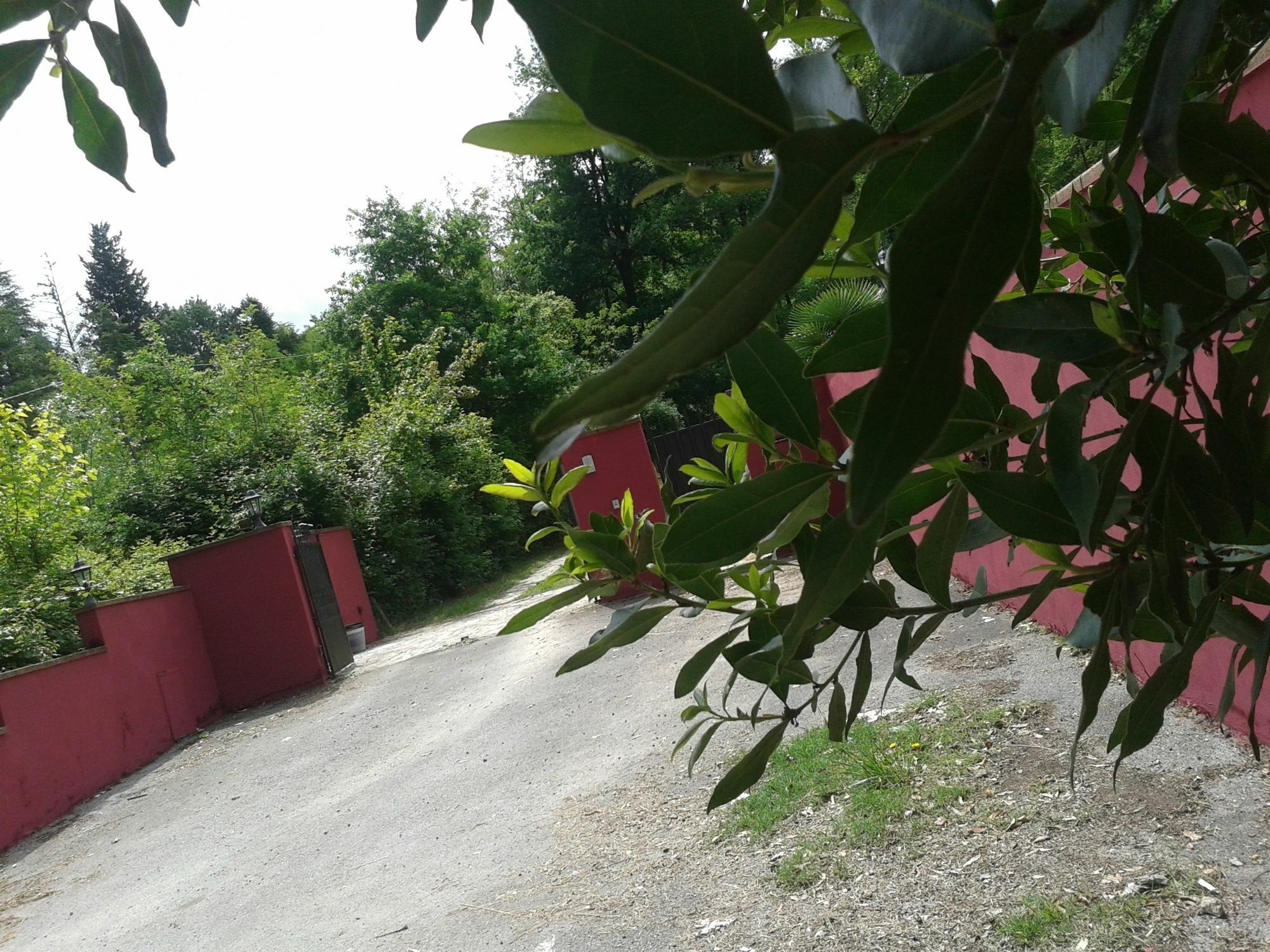 Park View Country House B&B Capannori Buitenkant foto